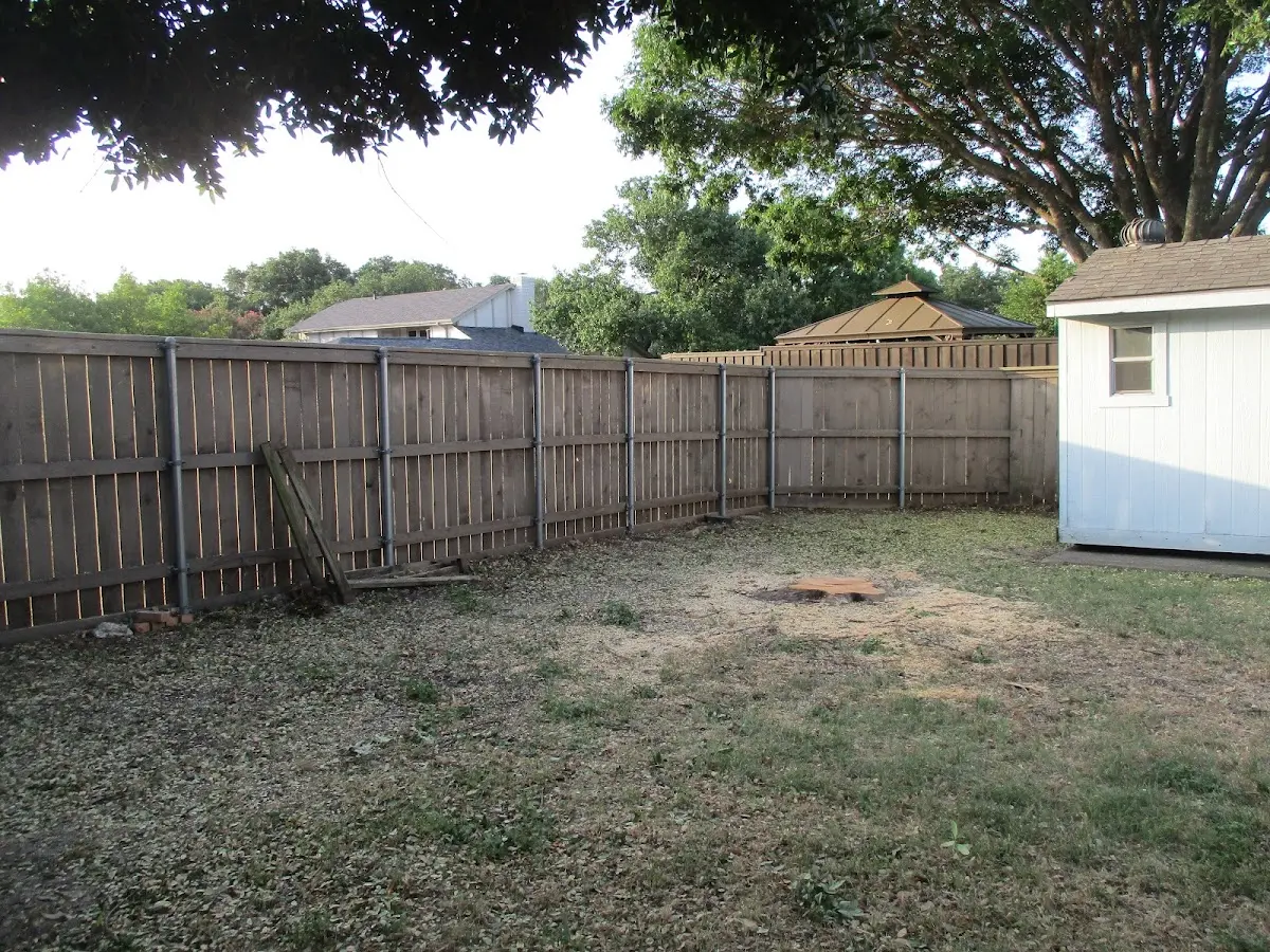 Cleared yard after professional tree removal in Mineral