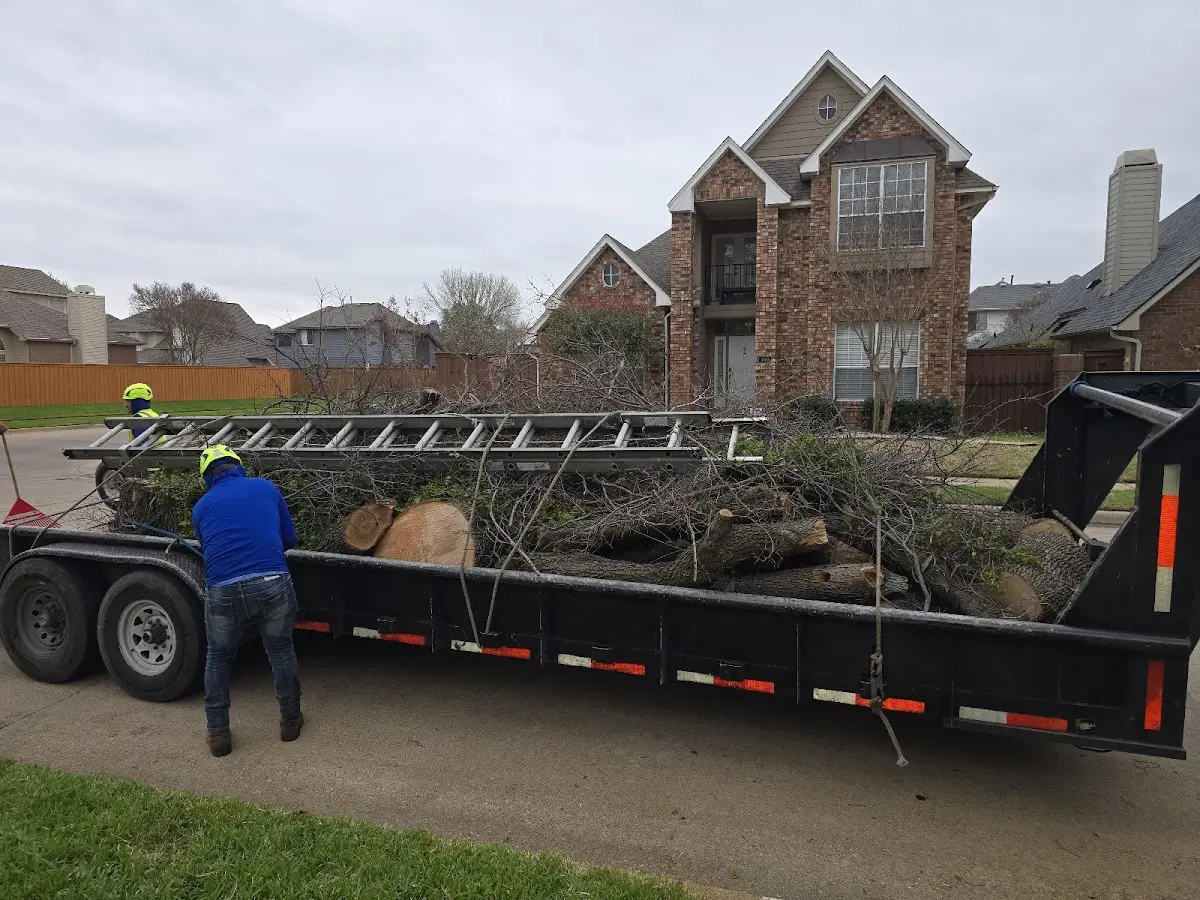 Expert Tree Fertilization with proper safety equipment in Mineral